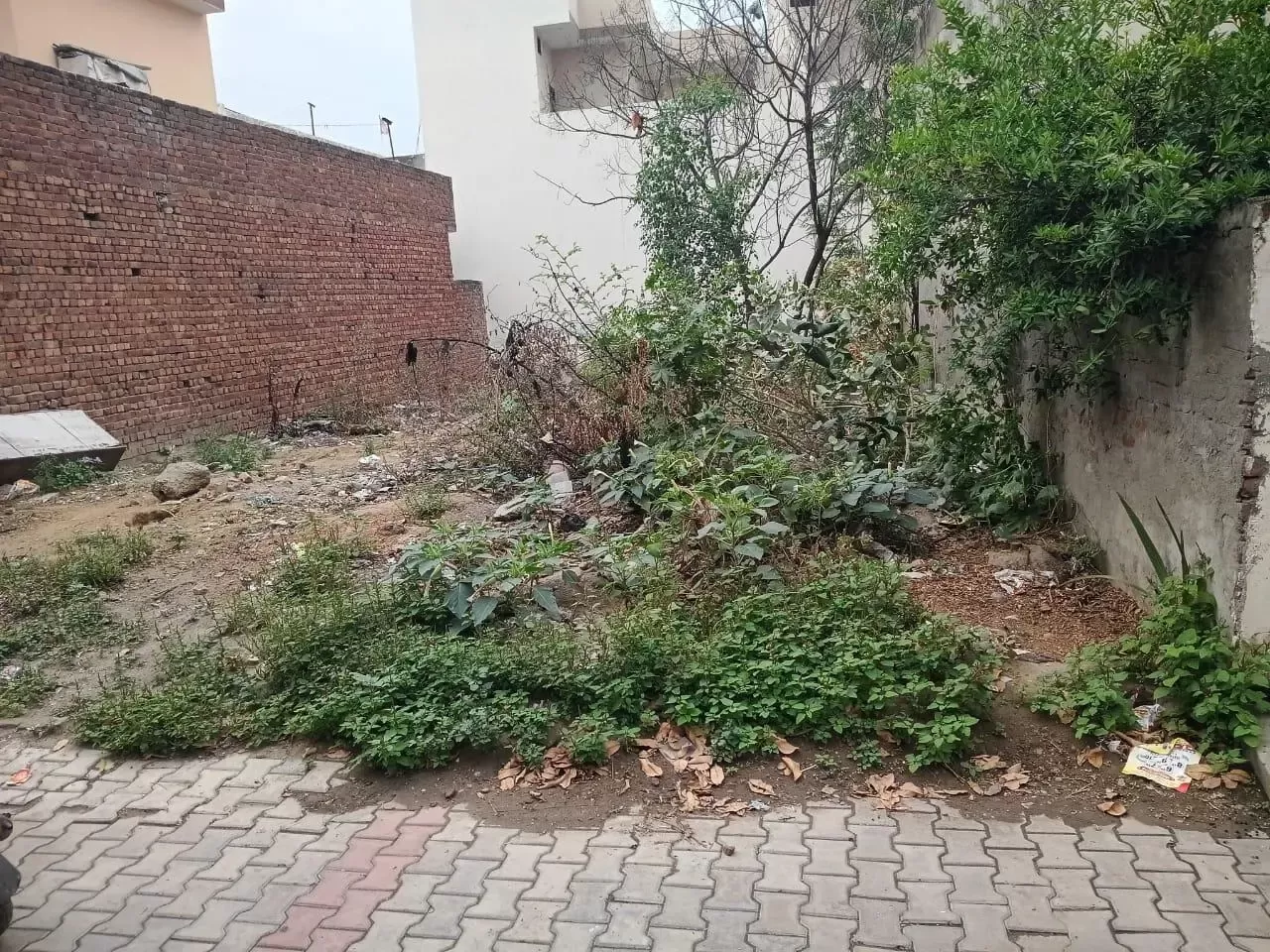 Ryan Baidwan Enclave image
