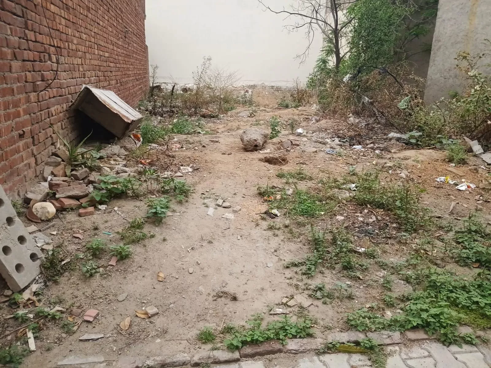 Ryan Baidwan Enclave image