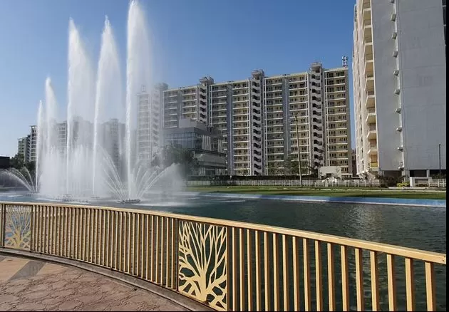 TDI Lake Grove image