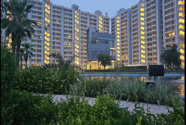TDI Lake Grove image