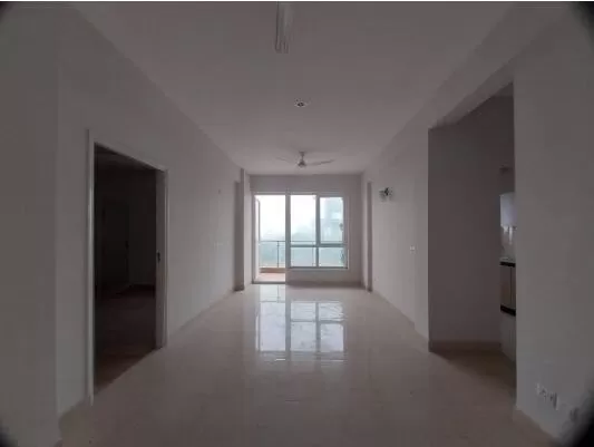 TDI Lake Grove image