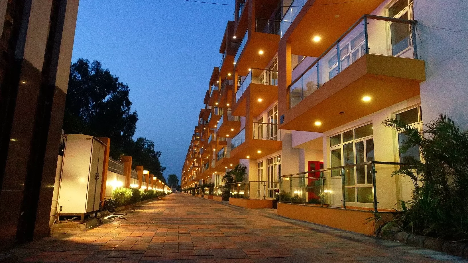 TDI Lake Grove City image
