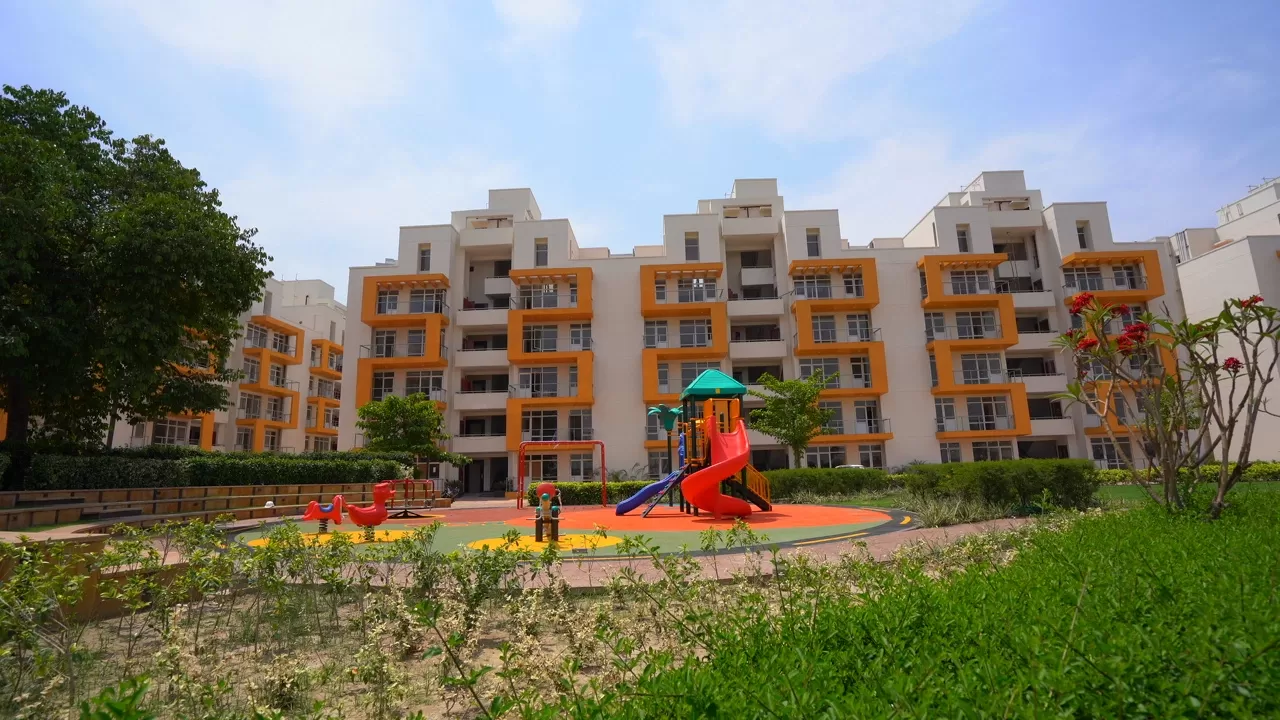 TDI Lake Grove City image