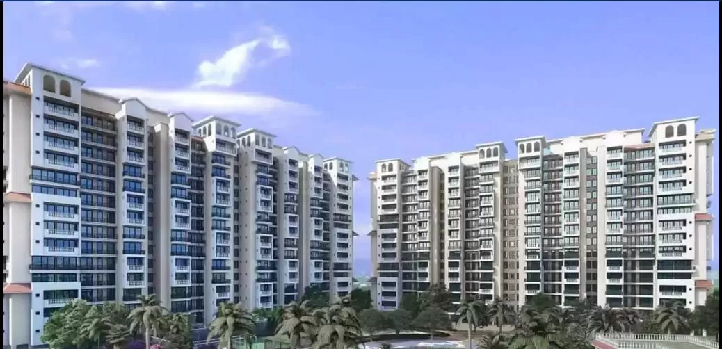 Parker White Lily Sonipat image