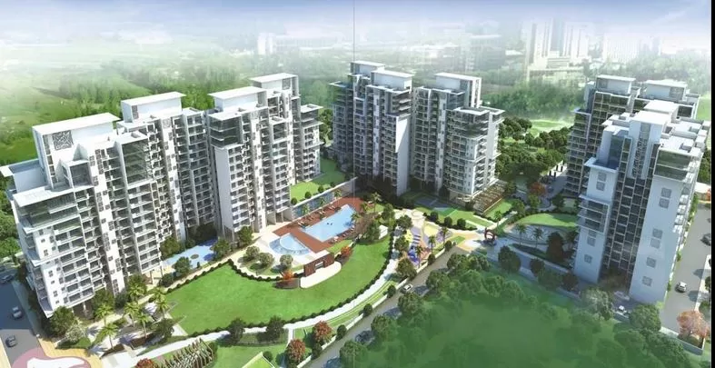 Parker White Lily Sonipat image