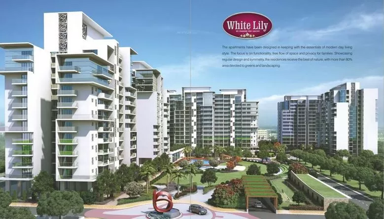 Parker White Lily Sonipat image