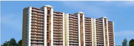 TDI Espania Royale Floors image
