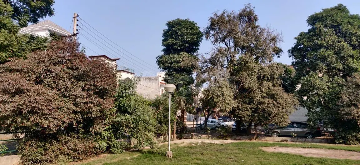 Sunny Enclave image