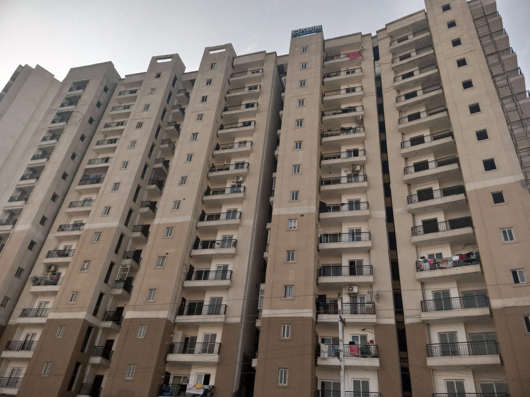 Oasis Venetia Heights image