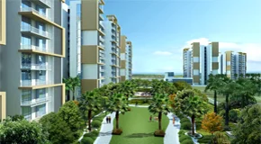 ECO GLADES