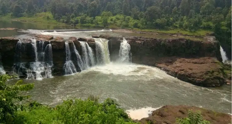 Vansda National Park
